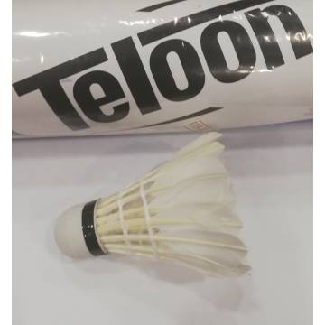 Teloon φτερά Badminton AMILA - 1